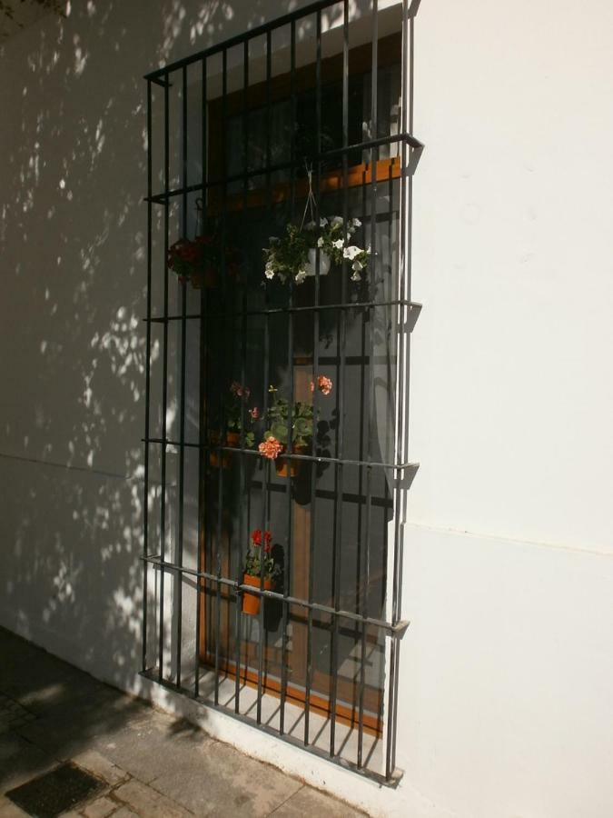 Casa En Plaza De La Merced_Centro Flamenco_加的斯 外观 照片
